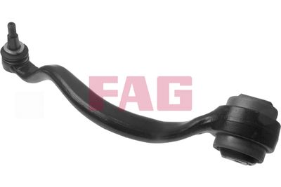Control/Trailing Arm, wheel suspension Schaeffler FAG 821 0751 10