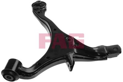 Control/Trailing Arm, wheel suspension Schaeffler FAG 821 0755 10