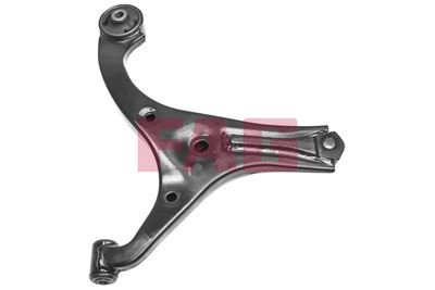 Control/Trailing Arm, wheel suspension Schaeffler FAG 821 0756 10
