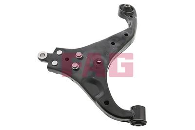 Control/Trailing Arm, wheel suspension Schaeffler FAG 821 0760 10