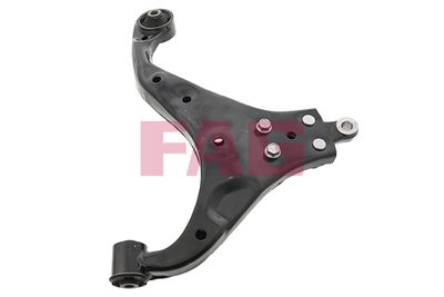 Control/Trailing Arm, wheel suspension Schaeffler FAG 821 0761 10