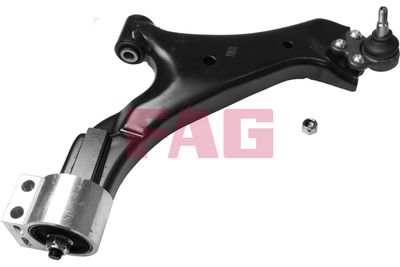 Control/Trailing Arm, wheel suspension Schaeffler FAG 821 0787 10