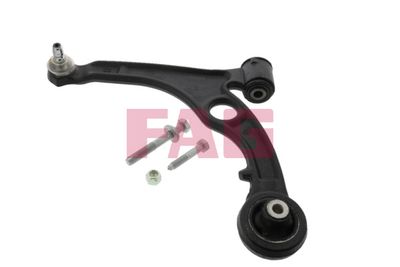 Control/Trailing Arm, wheel suspension Schaeffler FAG 821 0791 10