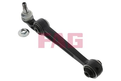 Control/Trailing Arm, wheel suspension Schaeffler FAG 821 0806 10