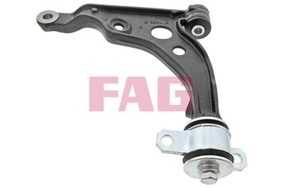 Control/Trailing Arm, wheel suspension Schaeffler FAG 821 0809 10