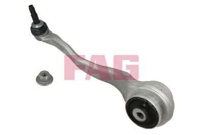 Control/Trailing Arm, wheel suspension Schaeffler FAG 821 0841 10