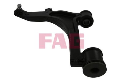 Control/Trailing Arm, wheel suspension Schaeffler FAG 821 0855 10