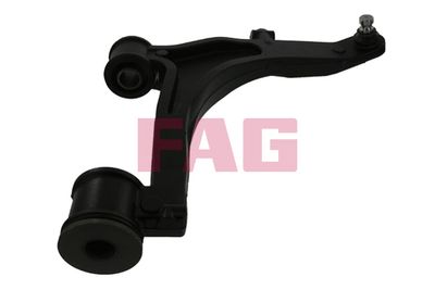 Control/Trailing Arm, wheel suspension Schaeffler FAG 821 0857 10