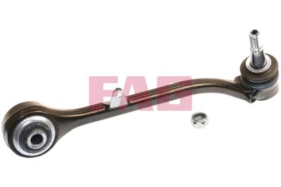Control/Trailing Arm, wheel suspension Schaeffler FAG 821 0867 10