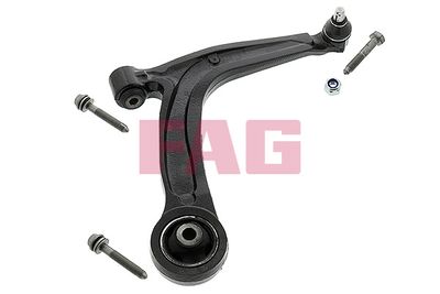 Control/Trailing Arm, wheel suspension Schaeffler FAG 821 0875 10