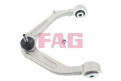 Control/Trailing Arm, wheel suspension Schaeffler FAG 821 0881 10