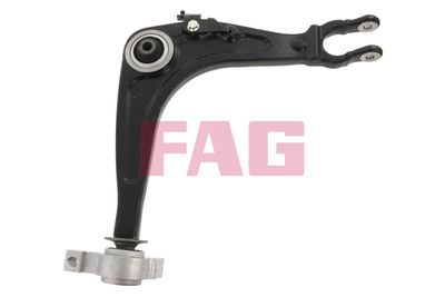 Control/Trailing Arm, wheel suspension Schaeffler FAG 821 0913 10
