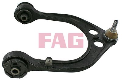 Control/Trailing Arm, wheel suspension Schaeffler FAG 821 0950 10