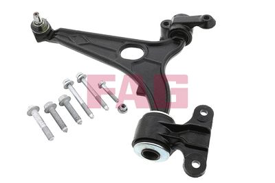 Control/Trailing Arm, wheel suspension Schaeffler FAG 821 0954 10