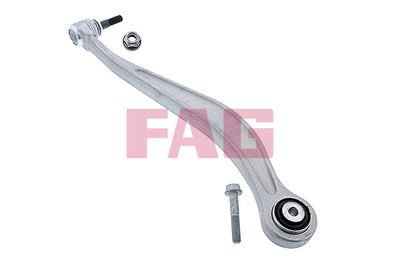 Control/Trailing Arm, wheel suspension Schaeffler FAG 821 0980 10