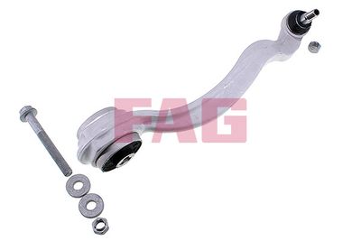 Control/Trailing Arm, wheel suspension Schaeffler FAG 821 0982 10