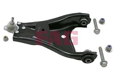 Control/Trailing Arm, wheel suspension Schaeffler FAG 821 1008 10