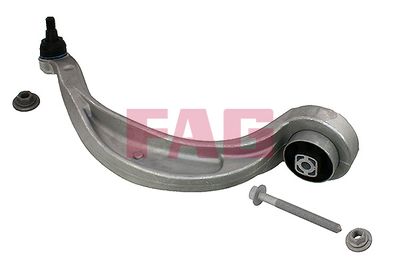 Control/Trailing Arm, wheel suspension Schaeffler FAG 821 1012 10