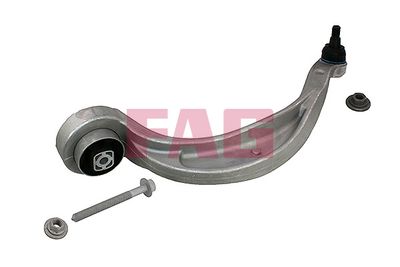 Control/Trailing Arm, wheel suspension Schaeffler FAG 821 1013 10