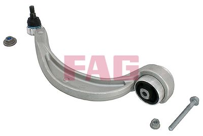Control/Trailing Arm, wheel suspension Schaeffler FAG 821 1014 10