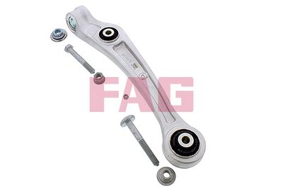 Control/Trailing Arm, wheel suspension Schaeffler FAG 821 1069 10