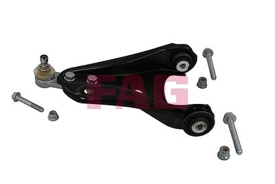 Control/Trailing Arm, wheel suspension Schaeffler FAG 821 1094 10