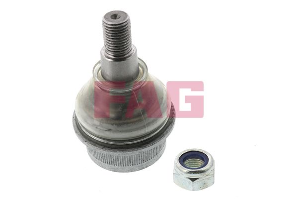 Schaeffler FAG 825 0060 10 Ball Joint