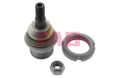 Ball Joint Schaeffler FAG 825 0079 10