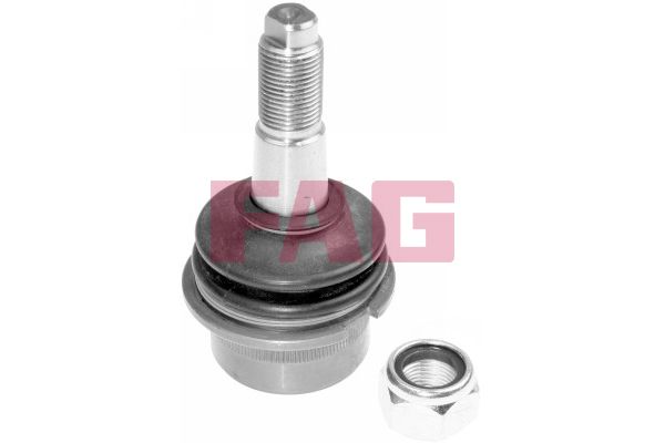 Schaeffler FAG 825 0145 10 Ball Joint
