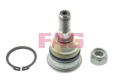 Ball Joint Schaeffler FAG 825 0229 10