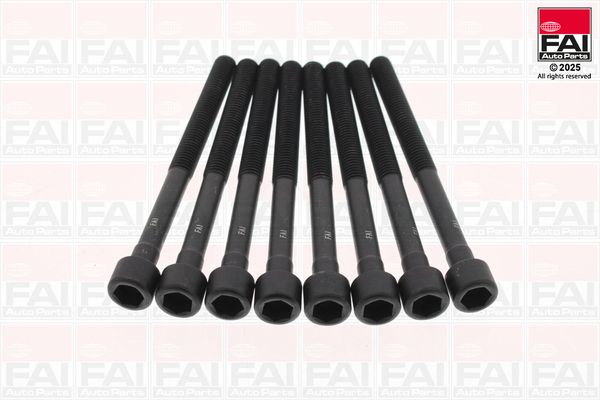 FAI AutoParts B2301 Cylinder Head Bolt Set