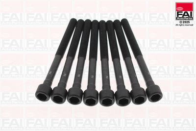 Cylinder Head Bolt Set FAI AutoParts B2301