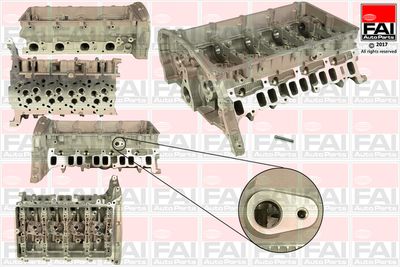 Cylinder Head FAI AutoParts BCH019
