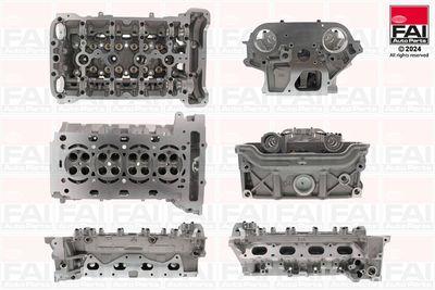 Cylinder Head FAI AutoParts BCH148