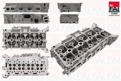 Cylinder Head FAI AutoParts BCH246