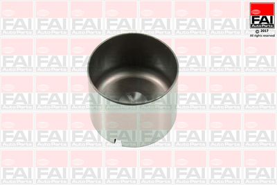 Tappet FAI AutoParts BFS100