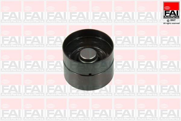 FAI AutoParts BFS318 Tappet