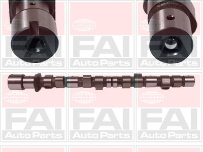 Camshaft FAI AutoParts C175