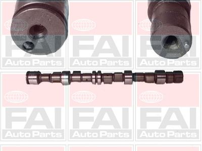 Camshaft FAI AutoParts C189