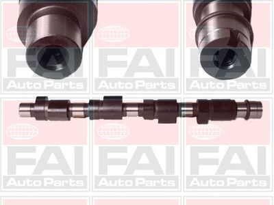 Camshaft FAI AutoParts C210