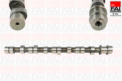 Camshaft FAI AutoParts C217
