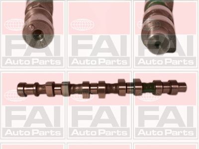 Camshaft FAI AutoParts C219
