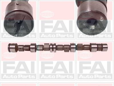 Camshaft FAI AutoParts C240