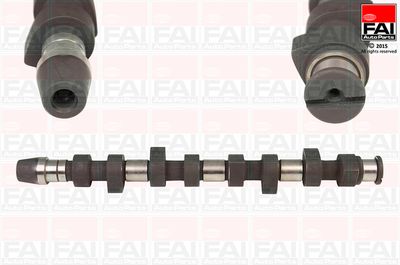 Camshaft FAI AutoParts C241