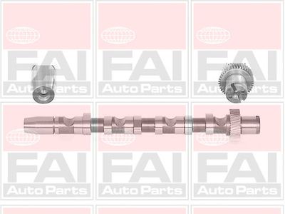 Camshaft FAI AutoParts C244