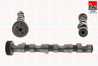 Camshaft FAI AutoParts C246