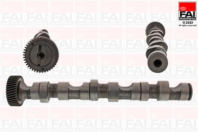 Camshaft FAI AutoParts C247