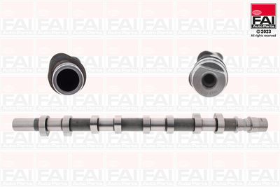 Camshaft FAI AutoParts C256