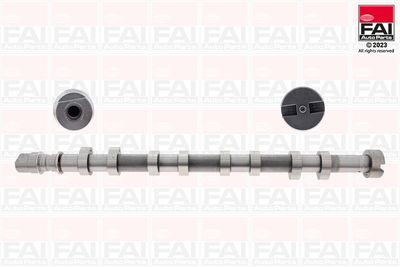 Camshaft FAI AutoParts C257