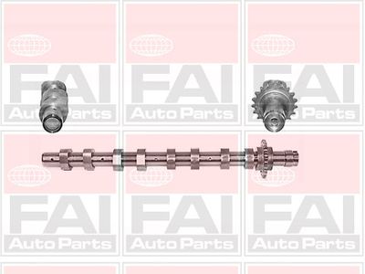 Camshaft FAI AutoParts C266